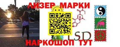 a pvp Кингисепп