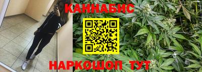 a pvp Кингисепп