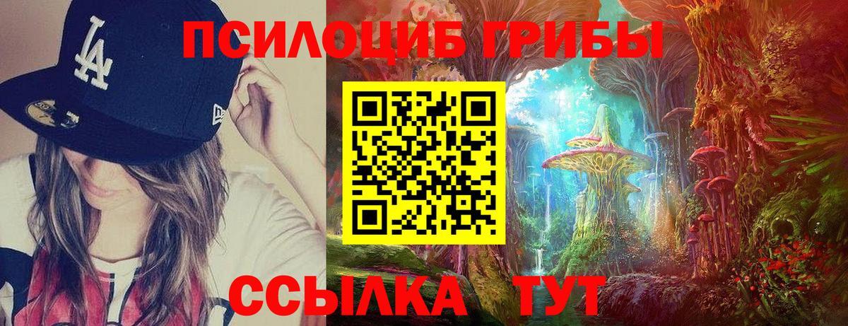 Псилоцибиновые грибы MAGIC MUSHROOMS  Вход с VPN  Костомукша 